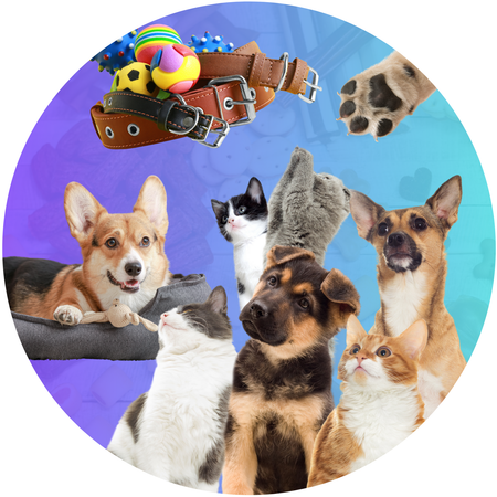 Mascotas